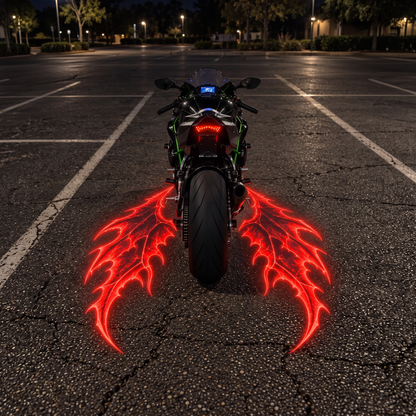 MyRiderCo "Epidemic V1" Projector Kit